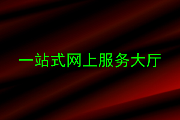 一站式网上服务大厅