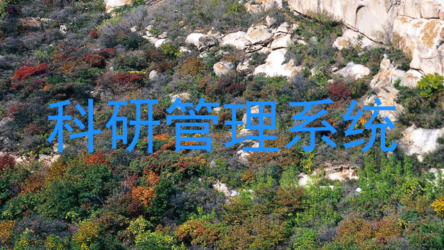科研管理系统