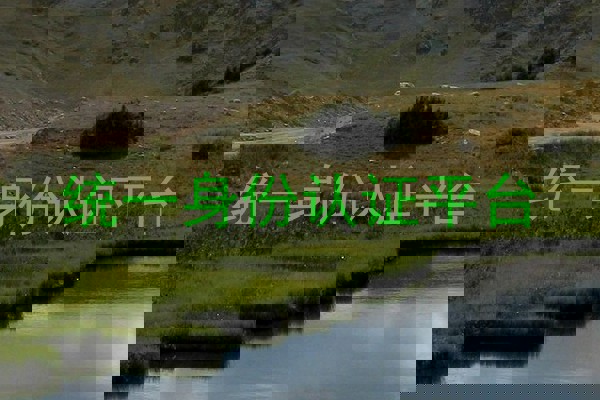 统一身份认证平台