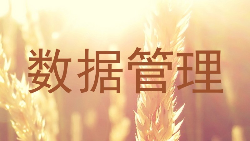 数据管理
