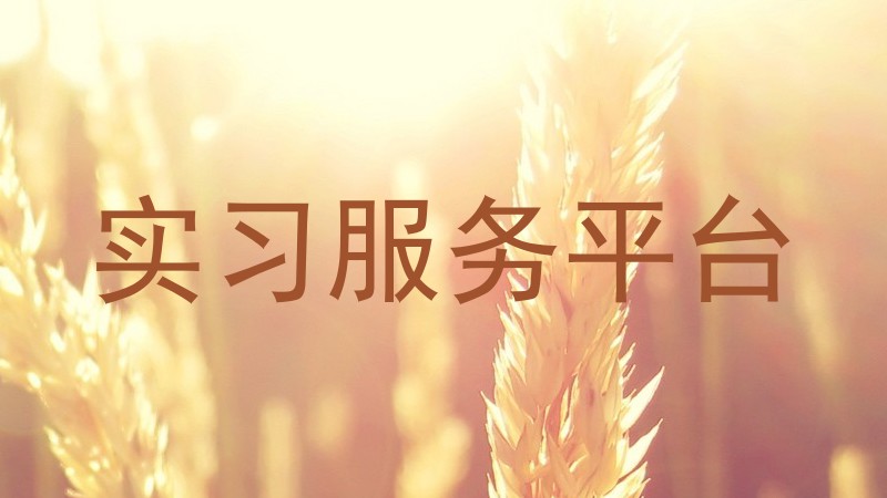 实习服务平台