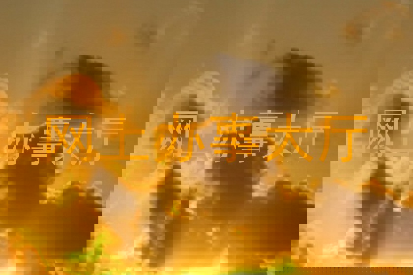网上办事大厅