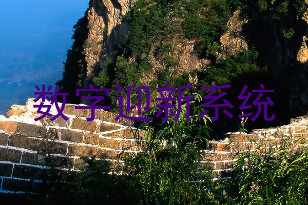 数字迎新系统
