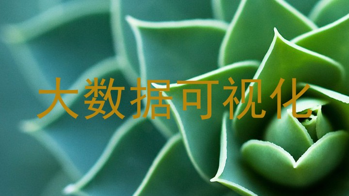 大数据可视化