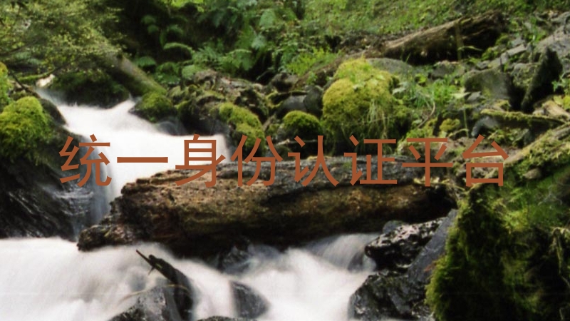 统一身份认证平台