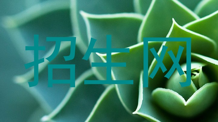 招生網(wǎng)