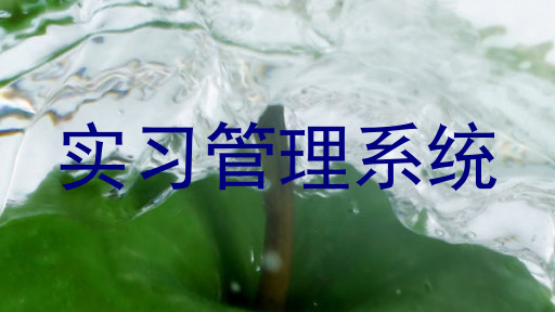 实习管理系统
