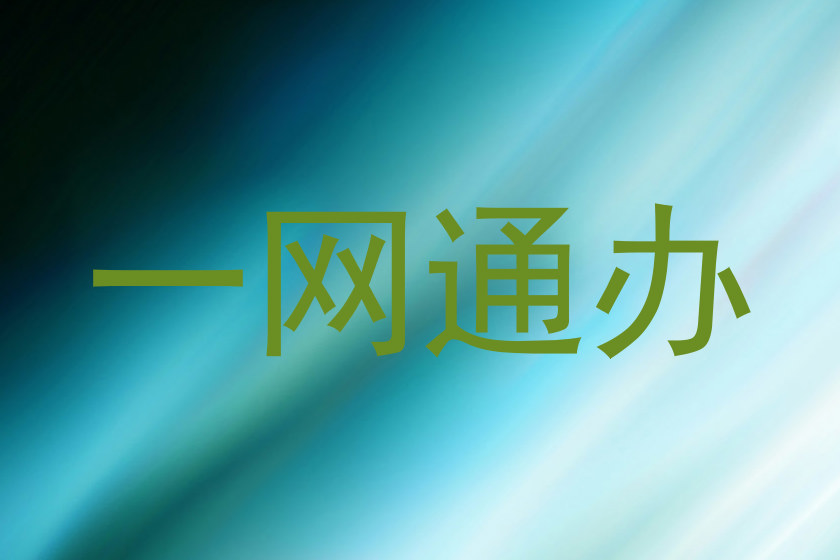 一网通办