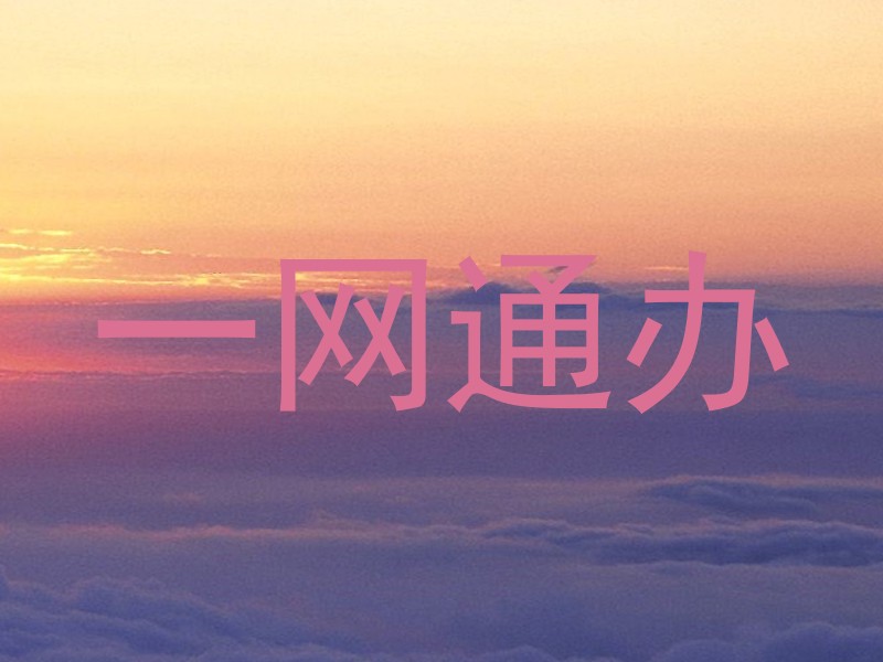 一网通办