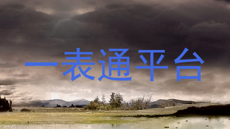 一表通平台