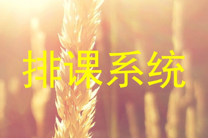 排课系统