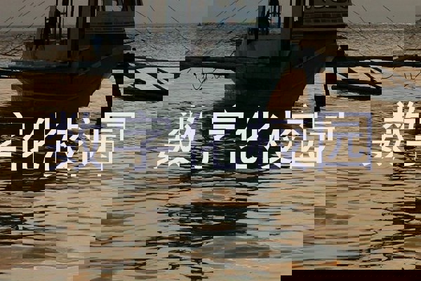 数字化校园