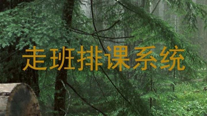 走班排课系统
