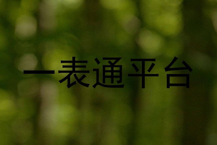 一表通平台