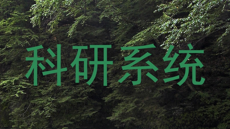 科研系统