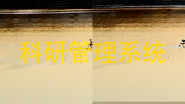 科研管理系统