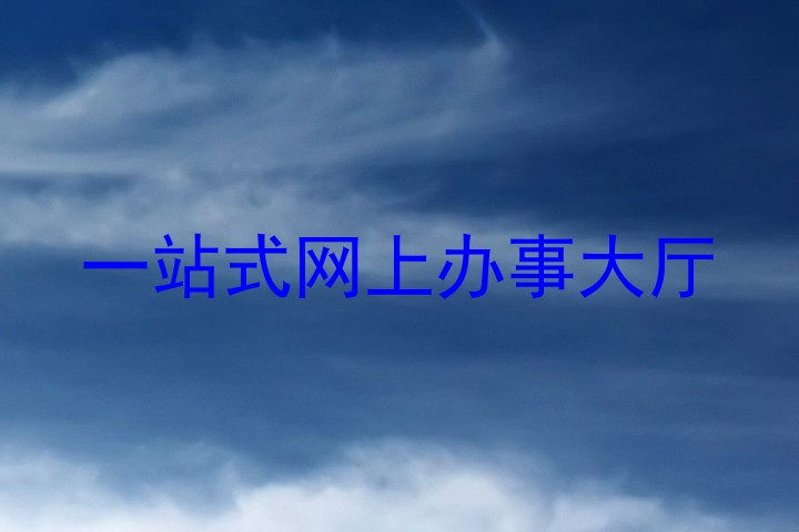 一站式网上办事大厅