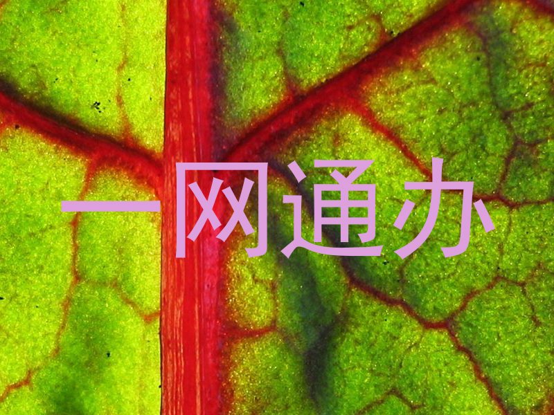 一网通办