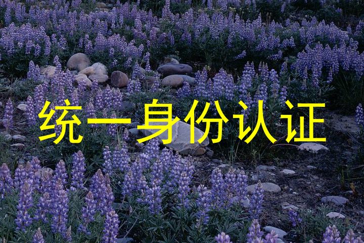 统一身份认证