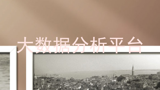 大数据分析平台