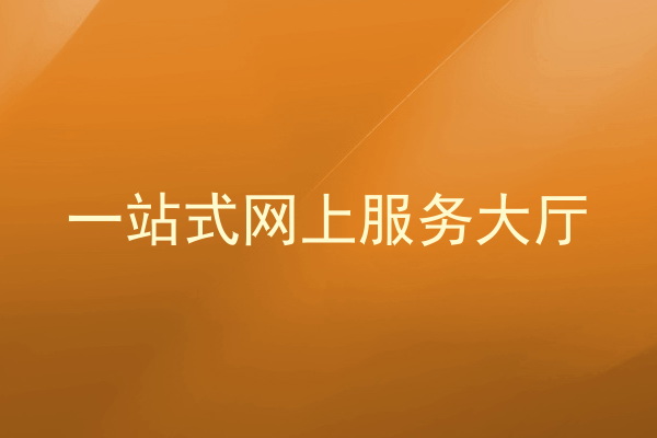 一站式网上服务大厅