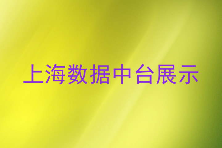 上海数据中台展示