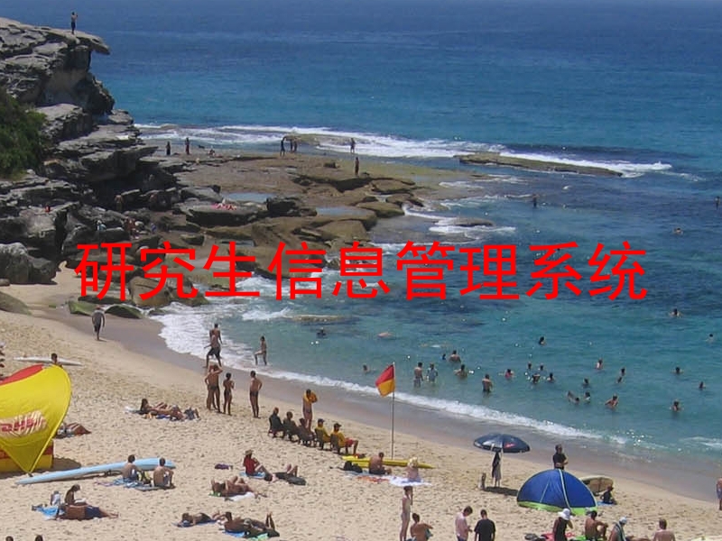 研究生信息管理系统
