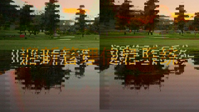 迎新管理信息系统