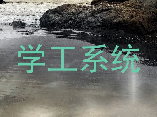 学工系统