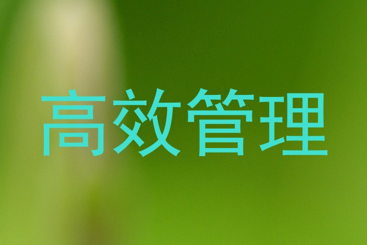 高效管理