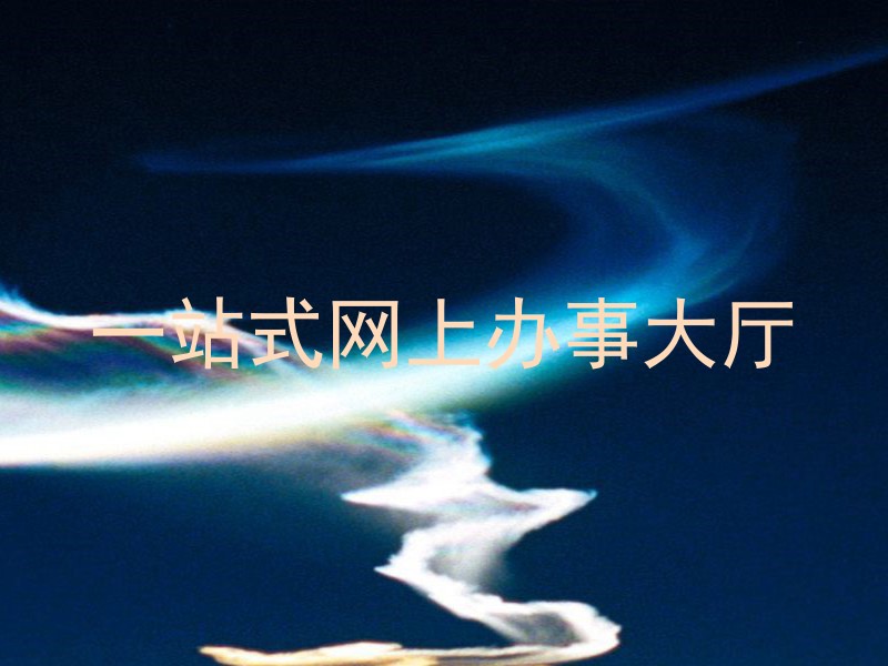 一站式网上办事大厅
