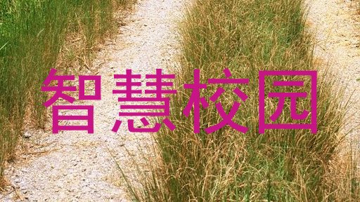 智慧校园