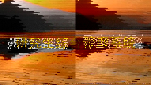 研究生综合管理系统