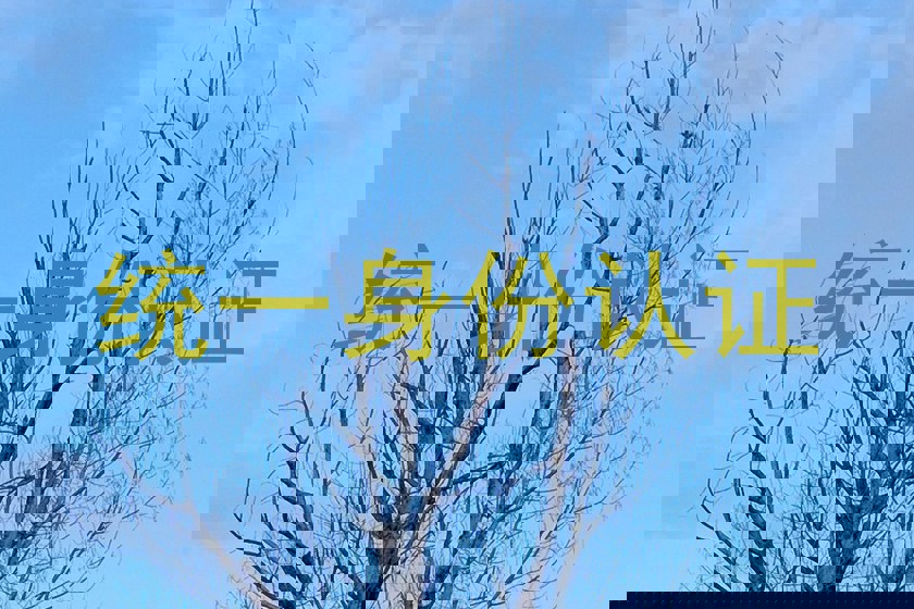统一身份认证