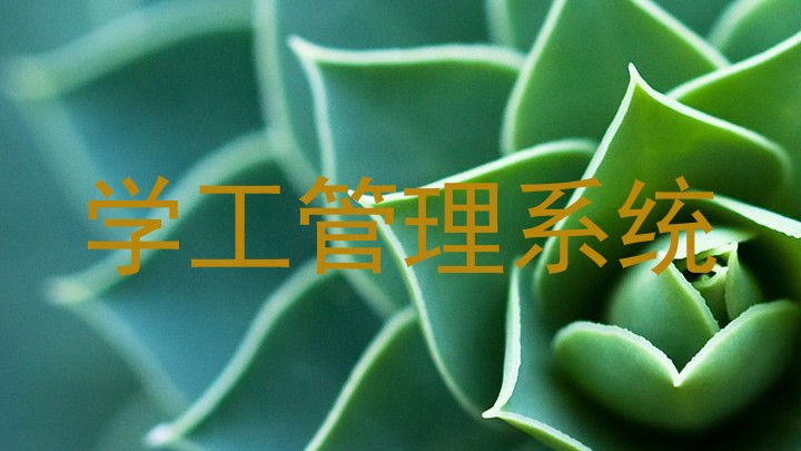 学工管理系统