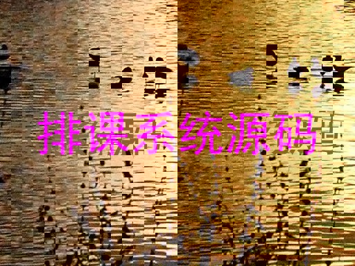 排课系统源码