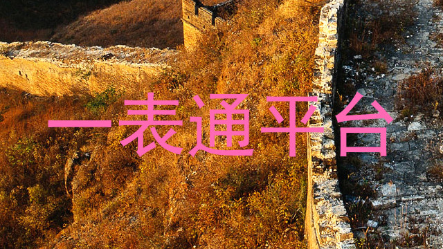 一表通平台