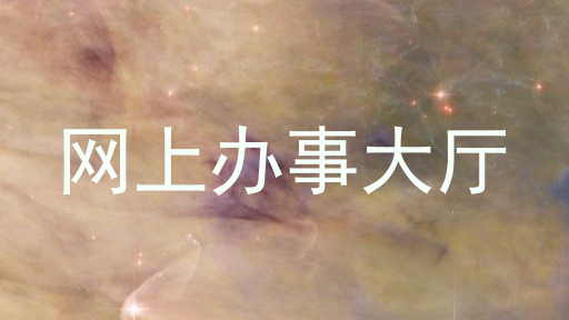 网上办事大厅
