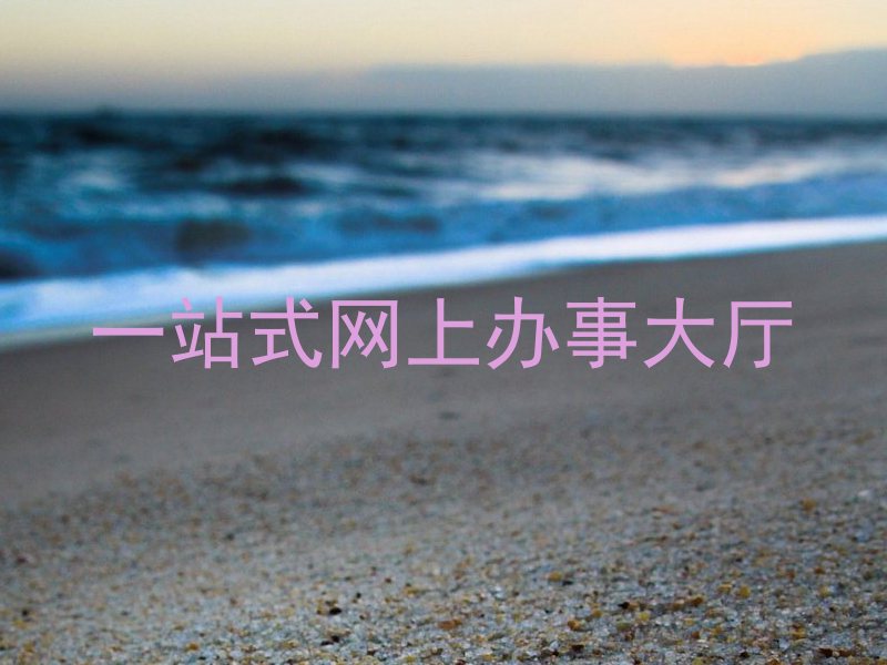 一站式网上办事大厅