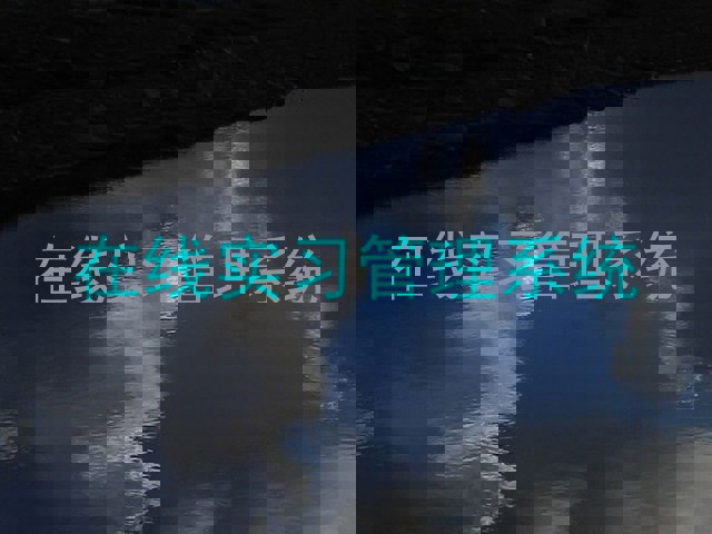 在线实习管理系统