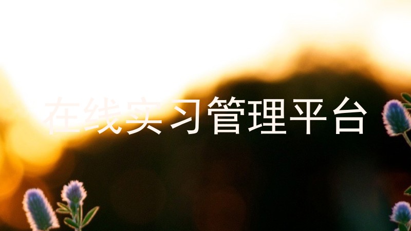 在线实习管理平台