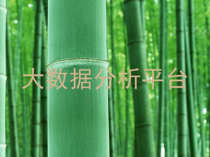 大数据分析平台