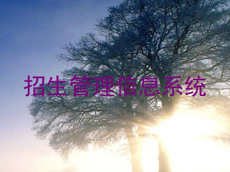 招生管理信息系统
