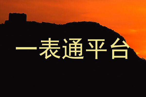 一表通平台