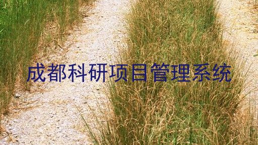 成都科研项目管理系统