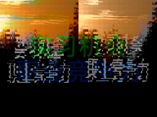 实习机会