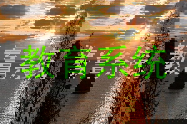 教育系统