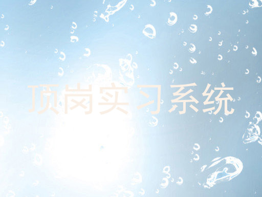 顶岗实习系统