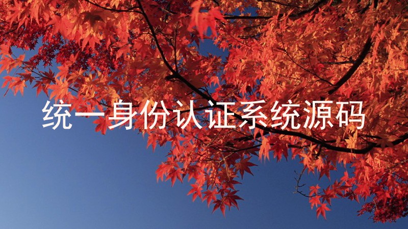 统一身份认证系统源码