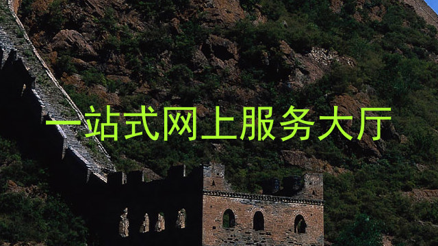 一站式网上服务大厅